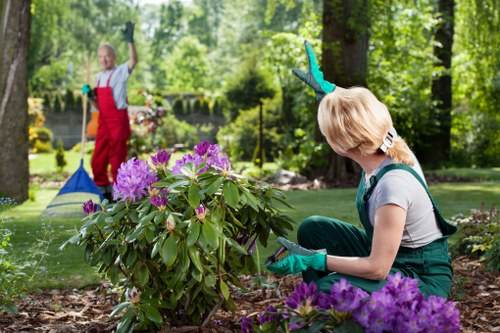 A woman wearing teal gardening gloves is kneeling on the earth in a well-maintained garden in Hampstead Heath, surrounded by lush greenery and vibrant purple rhododendron flowers. She is focused on tending to the garden bed, with soil and mulch visible beneath her. In the background, a young girl dressed in a red apron and grey top is seen raking leaves along a neatly trimmed lawn, with mature trees and colorful flowering plants providing a natural, peaceful environment. The garden features a mix of lush grass, mature trees, and ornamental shrubs, with sunlight filtering through the leaves, creating a bright and inviting outdoor space suitable for gardening and landscaping activities, reflective of local outdoor maintenance services by Landscapers Hampstead Heath.