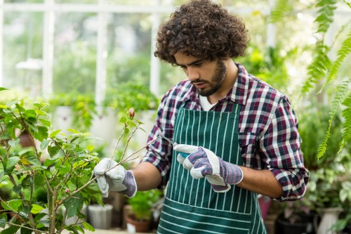 Visitor browsing a landscaping website with cookie consent banner