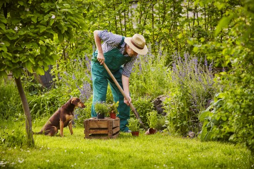 Complaints process for landscaping services explained