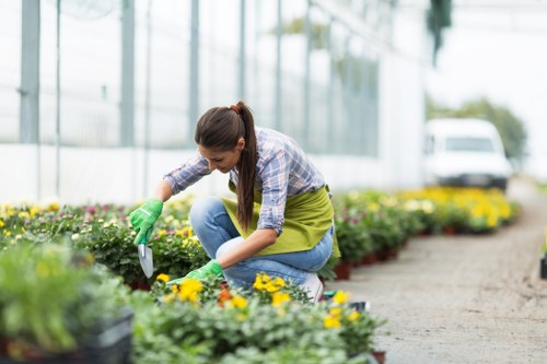 A woman is kneeling in a landscaped outdoor garden area, tending to a flower bed filled with vibrant yellow and purple flowers. She is wearing a checkered shirt, blue jeans, and green gardening gloves, using a small trowel to carefully work among the plants. The garden features neatly arranged flower beds bordered by soil and mulch, with a well-maintained grassy lawn visible in the foreground. In the background, there are tall, leafless or sparse trees, a greenhouse structure with glass panels, and a parked white vehicle, suggesting a modern garden space possibly in Hampstead or near NW3 postcode. The scene is lit by natural daylight, with soft shadows indicating a partly cloudy sky, creating a calm and inviting outdoor environment. This setting reflects professional gardening practices offered by Landscapers Hampstead Heath, emphasizing plant care and outdoor maintenance within a well-organized, landscaped yard.