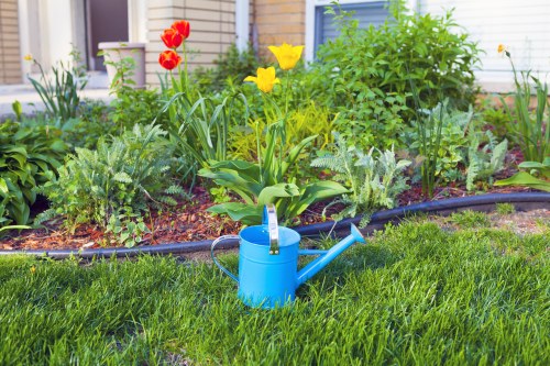 In a well-maintained residential garden, a bright blue metal watering can with a long spout and a handle is positioned on a lush, green grassy lawn in the foreground. Behind it, there is a flowerbed edged with black plastic-language garden edging, containing a variety of flowering plants and shrubs. Prominent among the flowers are vibrant red tulips and yellow daffodils, with some foliage showing variegated green and silver tones. The flowerbed has rich, dark soil visible around the plants, and some plants are supported by small stakes or plant supports. In the background, a white wooden fence and the exterior of a house are visible, with some taller shrubs and small trees providing additional greenery. The scene is lit by natural daylight in a clear weather condition, suggesting a bright spring or early summer scene, which reflects well on the gardening services offered by Landscapers Hampstead Heath in the local Hampstead Heath area within postcode NW3.