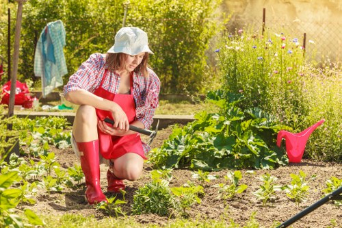 Professional maintenance of a landscaped garden in Hampstead Heath