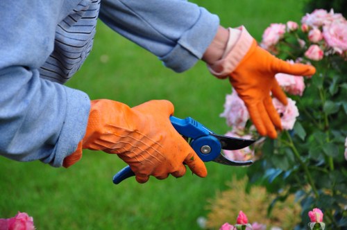 A gardener wearing a light blue denim jacket and bright orange gloves is using a pair of pruning shears to trim a flowering shrub with pink blooms in a landscaped garden. The shrub is situated in a well-maintained border bed with visible dark soil and a neatly edging feature. Surrounding the plant are other flower beds and grass areas, with lush green lawn in the background. The garden appears to be outdoors under natural daylight, possibly on a mild, cloudy day, as the lighting is soft and evenly distributed. The scene reflects professional gardening activity, with attention to plant maintenance and outdoor landscape care, consistent with services offered by Hampstead Heath gardening specialists, including pruning and shrub trimming. The garden environment is tidy, with a balanced arrangement of plantings, and a focus on healthy, vibrant growth, supporting the local emphasis of landscapers Hampstead Heath's gardening solutions.