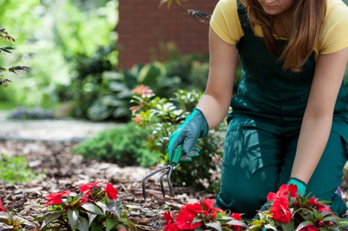The image depicts a gardener wearing a yellow top and teal overalls, kneeling on the ground while tending to a flower bed in a residential garden. The gardener is using a small hand rake to adjust soil around vibrant red flowering plants, with green foliage and other flowering plants visible in the background. The garden features a neatly maintained lawn or flower bed with dark, rich soil, bordered by various bushes and potentially some planted shrubs. To the left, there is a backdrop of leafy trees and a brick structure partially visible, suggesting the garden is part of an outdoor space in Hampstead Heath, London. The natural lighting indicates a clear or partly cloudy day, with soft sunlight illuminating the plants and garden area, creating vivid natural tones that highlight the healthy growth of the plants. This scene exemplifies typical outdoor gardening activities undertaken by landscapers in Hampstead Heath, emphasizing tidy, well-kept landscaping with a focus on flower bed maintenance and plant care, suitable for gardening services aimed at enhancing residential gardens in the local area.