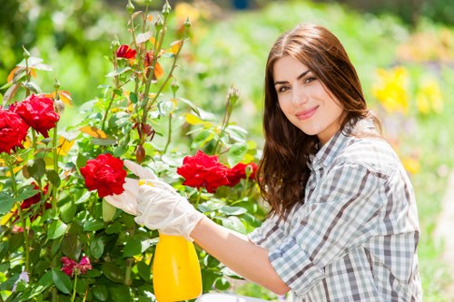 A young woman with long brown hair, dressed in a grey and white checked shirt, is tending to a vibrant red flowering shrub in a well-maintained garden. She is wearing white gardening gloves and holding a yellow spray bottle, carefully spraying or pruning the plant. The garden features a lush, green lawn with dense foliage, including various shrubs and trees in the background, indicating a landscaped outdoor space typical of Hampstead Heath. Bright sunlight illuminates the scene, highlighting the vivid colours of the flowers and leaves, and creating a warm, inviting atmosphere. The garden appears organized with well-defined flower beds and natural ground cover, illustrating a professional approach to gardening and outdoor maintenance. This scene reflects the gardening services offered by Landscapers Hampstead Heath, emphasizing their expertise in outdoor space care and plant management in a residential setting within the Hampstead Heath area.