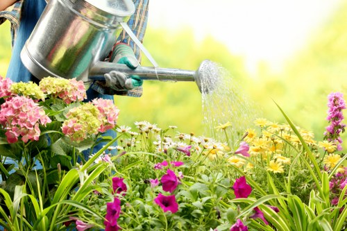 A gardener wearing gloves is watering a lush, flower-filled garden in a Hampstead Heath outdoor space on a sunny day. The garden features a variety of flowering plants, including pink, purple, and yellow blossoms, arranged in dense beds with green foliage. The lawn area is visible in the background, bordered by a mix of shrubs and small trees, creating a natural, well-maintained landscape. The surface of the garden includes a combination of grass, soil, and flowering borders, with some plants growing alongside paved or mulched areas. Bright natural light highlights the vibrant colours of the flowers and the healthy green leaves, suggesting a warm, clear day. This scene exemplifies professional gardening and landscape maintenance provided by Hampstead Heath-based experts, focusing on creating inviting, colourful outdoor spaces suitable for leisure and aesthetic appeal.