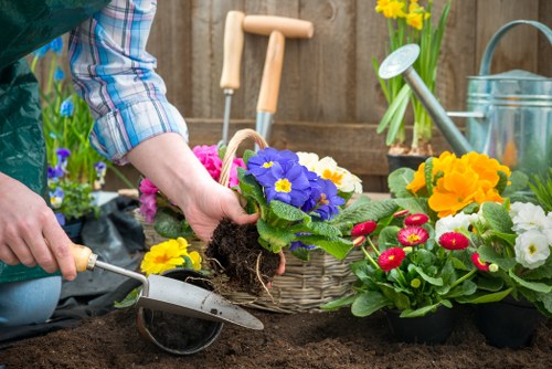 A gardener's hand is shown planting a vibrant purple and yellow primrose into rich, dark soil within a backyard garden in Hampstead Heath. Surrounding the planting area are various flower pots filled with colorful blooms such as red, yellow, and white primroses, and some pots contain yellow daffodils. In the background, a wooden fencing provides a boundary, with garden tools like a watering can and a small rake visible, along with a metal garden watering can. The scene is outdoors, showcasing a well-maintained, landscaped garden space with flower beds and natural plant arrangements. The environment is bright and sunny, indicating good weather for gardening activities, and the overall setting emphasizes outdoor plant care and sustainable gardening practices typical of the Hampstead Heath area, as featured on the site landscapershampsteadheath.co.uk under the Recycling and Sustainability page.