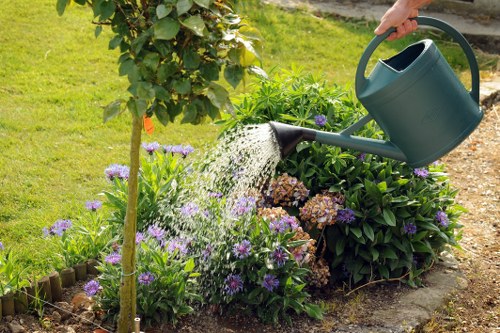 A gardener's hand is seen watering a lush flower bed in a well-maintained outdoor space, with a green watering can. The flower bed is edged with wooden border strips and contains a variety of colourful plants, including purple and pink flowers, alongside green foliage. Behind the flower bed, there is a neatly trimmed hedge and a small tree with fresh leaves. The surrounding lawn area is vibrant and evenly cut, with a pathway or paved area visible in the background. The scene suggests a bright, mild day with natural sunlight illuminating the garden environment, reflecting the professional outdoor maintenance and garden care services offered by Landscapers Hampstead Heath near the Hampstead Heath area in London.