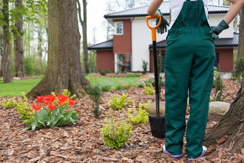 A gardener wearing green overalls and gloves is standing in a residential garden during daylight, holding a small trowel with an orange handle. The garden features a well-maintained lawn with dense, green grass in the foreground, surrounded by mulched flower beds that contain small, neatly trimmed shrubs and bright red tulips. Tall trees with textured bark and lush foliage provide shade near the garden area, while a modern two-story house with a dark roof, white window frames, and a red brick façade is visible in the background. Paving stones form a pathway adjacent to the flower beds, and natural light illuminates the scene, suggesting a clear or partly cloudy day. This outdoor space exemplifies typical landscape features and maintenance suitable for gardening services in Hampstead Heath, emphasizing healthy planting, lawn care, and outdoor environment enhancement by Landscapers Hampstead Heath.