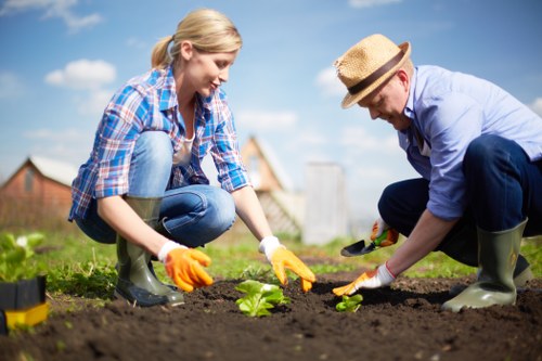 A woman and a man working together in a residential garden in Hampstead Heath, London. They are crouching on the freshly tilled soil, planting small green leafy plants. The woman, with blonde hair tied back, is wearing a blue plaid shirt, jeans, and yellow gardening gloves, while the man, wearing a straw hat, light blue shirt, dark trousers, and green rubber boots, is assisting with the planting. In the background, there are a few houses and the sky is bright with some clouds, indicating a clear day. The garden area features a well-maintained lawn with a neat border, and the freshly dug soil area is free of weeds and debris, demonstrating careful outdoor maintenance. This scene reflects professional garden planting activity typical of local landscaping services, emphasizing activity in outdoor garden spaces within Hampstead Heath, London,. The natural light highlights the fresh soil and vibrant green plants, creating a welcoming atmosphere for garden enhancement and planting projects.