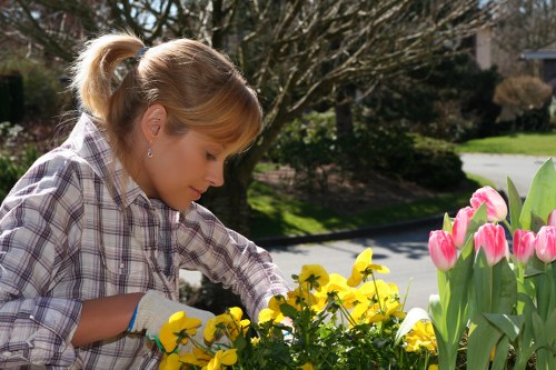 A woman tending to a garden with a mix of vibrant yellow and pink tulips, along with other flowering plants, in a well-maintained residential outdoor space. The garden features a lush green lawn and a paved pathway in the background, surrounded by trees and shrubs that provide natural shade. The woman, dressed in a checkered shirt and gardening gloves, is carefully inspecting or watering the flowers, which are situated near a neatly trimmed hedge. The scene is bathed in natural daylight, suggesting a sunny day in Hampstead Heath or nearby areas within the N6 postcode, illustrating a typical cared-for UK garden scene that aligns with professional gardening and lawn care services provided by Landscapers Hampstead Heath.