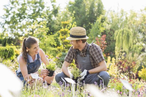 In a well-maintained backyard garden, two individuals are engaged in planting activities. The foreground features a lush green lawn with dense, evenly cut grass, bordered by flower beds filled with a variety of blooming plants showcasing purple, pink, and white flowers. Behind them, a neatly trimmed hedge lines the garden, with taller trees providing shade and a backdrop of natural greenery. The garden's layout includes paved pathways and a wooden decking area, suggesting a landscaped outdoor space aligned with local residential styles in Hampstead Heath. The two gardeners are dressed casually, with one wearing a straw hat, gloves, and a checked shirt, while the other wears a sleeveless top and has her hair tied back, both smiling and focused on planting a potted shrub. Bright sunlight illuminates the scene, highlighting the vibrant colours and textures of the garden, creating an inviting and tranquil atmosphere. This setting demonstrates professional gardening and landscaping care, conforming with local outdoor maintenance standards, and subtly referencing services related to garden enhancement and plant care in the Hampstead Heath area.