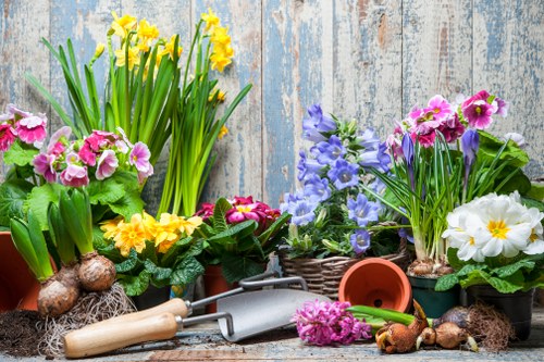 An arrangement of blooming spring flowers, including daffodils, primroses, and bluebells, placed in pots and baskets on a weathered wooden surface outdoors. The flowers display vibrant yellow, pink, white, and purple colours, with lush green leaves and stems. The background features an aged, pale blue wooden fence, creating a rustic garden scene. Gardening tools such as a small hand trowel and rake, along with scattered bulbs and soil, are visible among the plants, suggesting recent planting activity typical of garden renovation or landscaping work by a professional gardening service in Hampstead Heath. The natural light highlights the bright, fresh appearance of the flowers and the textured surfaces, making the scene suitable for a gardening or landscaping website emphasizing garden makeovers or outdoor maintenance services in London.