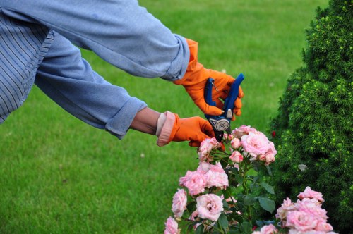 Professional landscapers working in Hampstead Heath